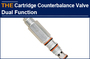 AAK Cartridge Counterbalance Valve Dual Function