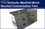 AAK Hydraulic Manifold Block Shortest Customization Time