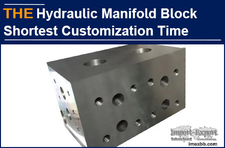 AAK Hydraulic Manifold Block Shortest Customization Time