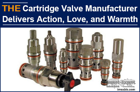 AAK Cartridge Valve Manufacturer Delivers Action, Love, and Warmth