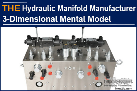 AAK Hydraulic Manifold Manufacturer 3-Dimensional Mental Model
