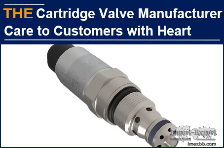 AAK Cartridge Valve Manufacturer Care to Customers with Heart