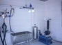 Pipeline Cow  Goat Milking Parlor With A Milk Transport Conduit