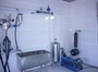 Pipeline Cow / Goat Milking Parlor With A Milk Transport Conduit
