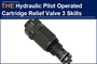 AAK Hydraulic Pilot Operated Cartridge Relief Valve 3 Skills
