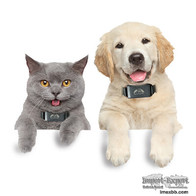 coban gps pet collar with intelligent tracking on free app
