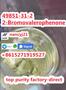 49851-31-2 2-Bromovalerophe   none 2-BROMO-1-PHENYL   -PENTAN-1-ONE 1451-82-7 123