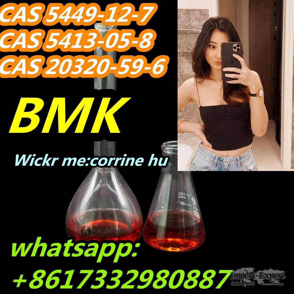 CAS 5449-12-7 New Bmk Powder BMK Glycidic Acid (Sodium Salt)