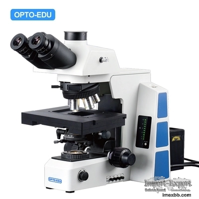 M12.5850 Compound Optical Microscope Biological Bf 2d Xyz Motorized