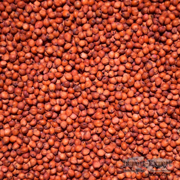 High Quality Natural Red Sorghum For Sale 