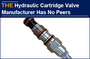 Hydraulic Cartridge Valve Manufacturer Has No Peers