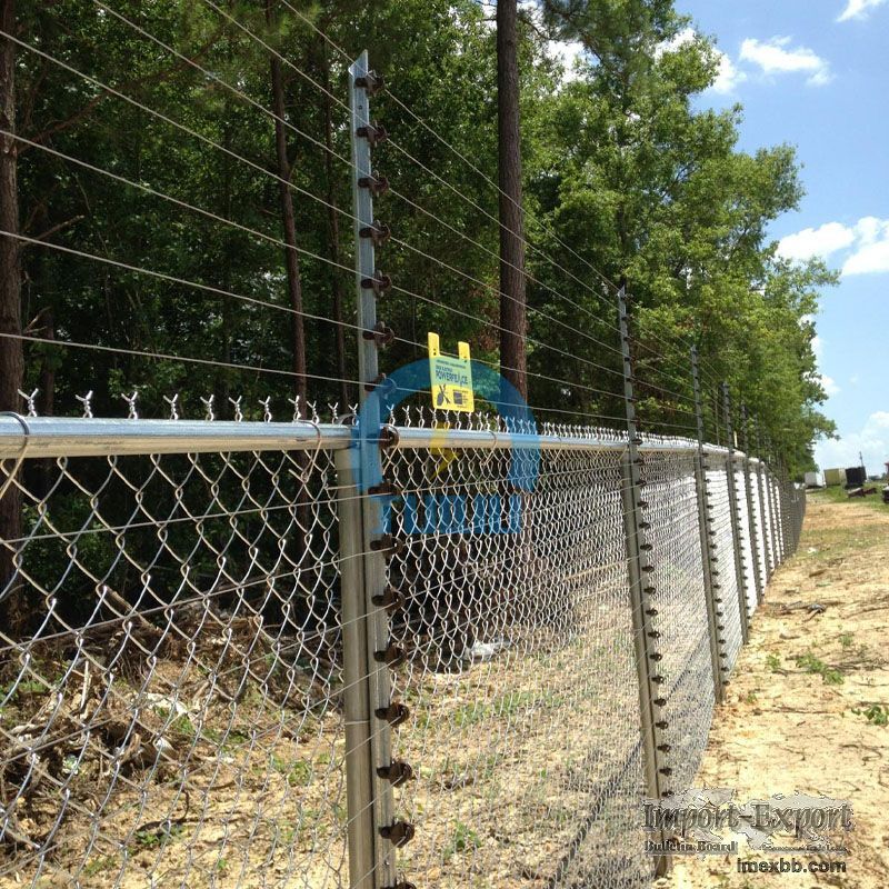 Electric fence for commercial security