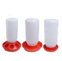 Chicken drinker and feeder with different size