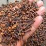 Dried cloves