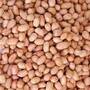 Raw Peanut Kernels / raw groundnut peanut