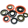 NQK.SF Car Oil Seal Manufacturers Seals Available in All Sizes