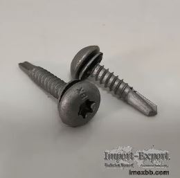 Customized Metal Stainless Steel Pan Head Hexalobular Socket Pan Head Self 