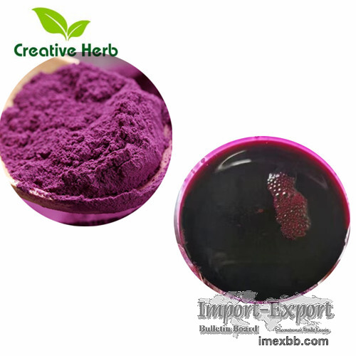 Natural Food clorants Purple sweet potato color powder.purple sweet potato 