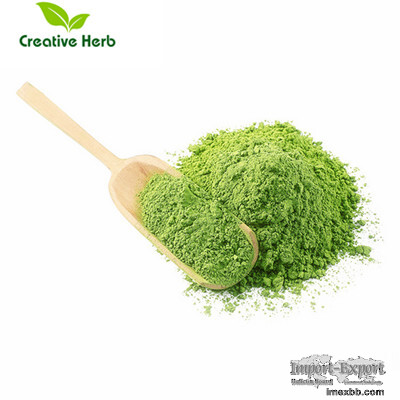 Match Powder;green tea powder;Organic Matcha Powder