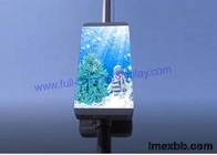 P5 320x160mm Full Color LED Display Digital Pole Sign Screen For Advertisin