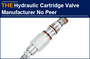 AAK Hydraulic Cartridge Valve Manufacturer No Peer