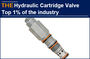 AAK Hydraulic Cartridge Valve Manufacturer Top 1% of the industry
