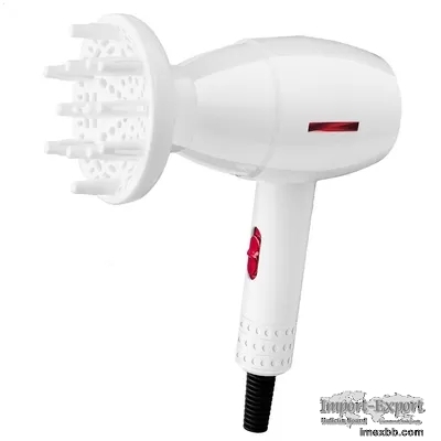 Axial Flow Dual Voltage Electric Hair Dryer For Travel Home Use