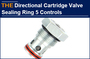 AAK Hydraulic Directional Control Cartridge Valve Sealing Ring 5 Controls