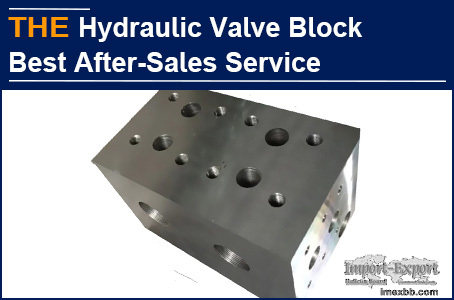 AAK Hydraulic Valve Block Best After-Sales Service 