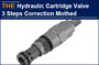 AAK Hydraulic Cartridge Valve 3 Steps Correction Mothed