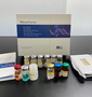 Human Asymmetric Dimethylaoyoinine ELISA kit
