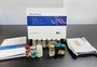 Human Total β Amyloid Protein ELISA kit