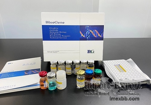 Human Total β Amyloid Protein ELISA kit