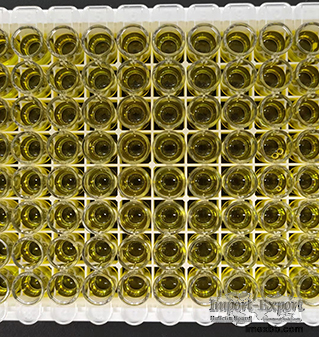 Human Amyloid β Protein 40 ELISA kit