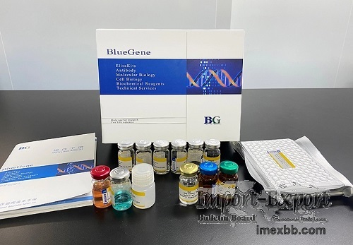 Rat Active Caspase 3 ELISA kit
