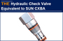 AAK Hydraulic Check Valve Equivalent to SUN CXBA