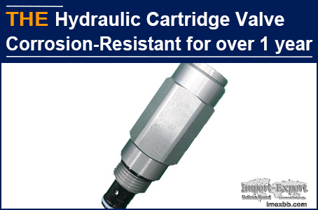 AAK Hydraulic Cartridge Valve Corrosion-Resistant for over 1 year