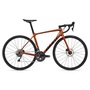 2022 Giant TCR Advanced Disc 1 Pro Compact Road Bike (INDORACYCLES)