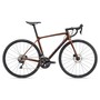2022 Giant TCR Advanced Disc 2 Pro Compact Road Bike (INDORACYCLES)
