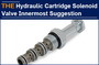 AAK Cartridge Solenoid Valve, talking to customers from the bottom of heart