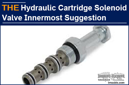 AAK Cartridge Solenoid Valve, talking to customers from the bottom of heart