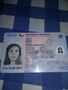 Passports , id  visas , drivers license , stamps