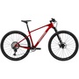2022 Cannondale Scalpel HT Carbon 2 Mountain Bike (INDORACYCLES)