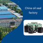 NQKSF Mechanical Seal Supplier: A Reliable Partner Sealing Solutions