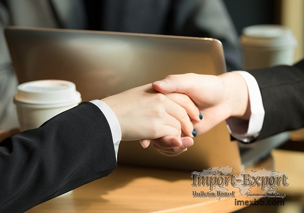 Global Investigation Business