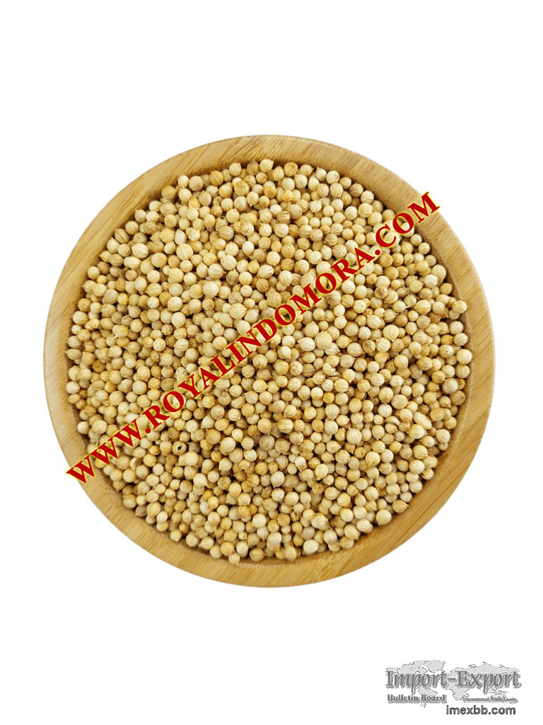 Coriander Seed