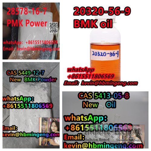CAS：28578-16-7  PMK powder BMK oil