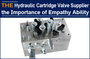 AAK Hydraulic Cartridge Valve Supplier the Importance of Empathy Ability