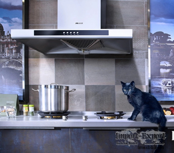 Modern Kitchen Design with Kitchen Wall Hanging Cabinet