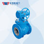 ED500 Series Eccentric Ball Valve